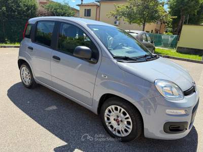 Fiat Panda Fiat Panda 1.0 - NEOPATENTATI - 12 MESI DI GARANZIA - Grigio usata ARGELATO
