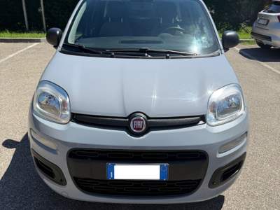 Fiat Panda Fiat Panda 1.0 - NEOPATENTATI - 12 MESI DI GARANZIA - Grigio usata ARGELATO