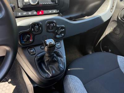 Fiat Panda Fiat Panda 1.0 - NEOPATENTATI - 12 MESI DI GARANZIA - Grigio usata ARGELATO