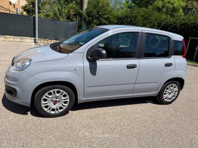 Fiat Panda Fiat Panda 1.0 - NEOPATENTATI - 12 MESI DI GARANZIA - Grigio usata ARGELATO