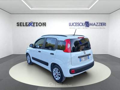 Fiat Panda  3ª serie -  1.0 firefly s&s hybrid easy Bianco usata Ancona