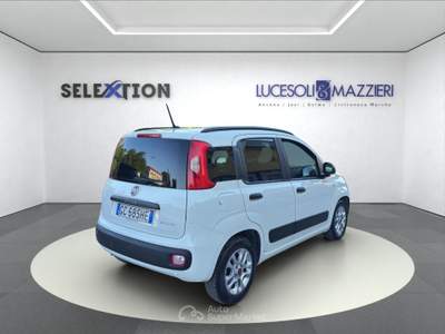 Fiat Panda  3ª serie -  1.0 firefly s&s hybrid easy Bianco usata Ancona