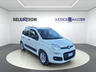 Fiat Panda  3ª serie -  1.0 firefly s&s hybrid easy Bianco usata Ancona