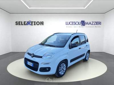 Fiat Panda  3ª serie -  1.0 firefly s&s hybrid easy Bianco usata Ancona