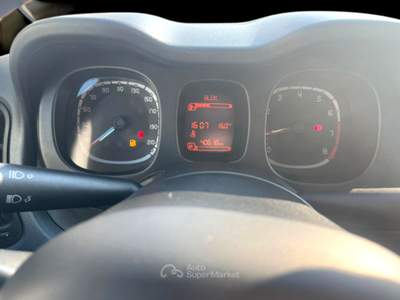 Fiat Panda Panda 1.0 FireFly S&S Hybrid Bianco usata Laterina