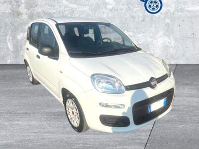 Fiat Panda Panda 1.0 FireFly S&S Hybrid Bianco usata Laterina