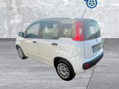 Fiat Panda Panda 1.0 FireFly S&S Hybrid Bianco usata Laterina