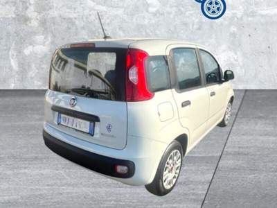 Fiat Panda Panda 1.0 FireFly S&S Hybrid Bianco usata Laterina