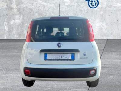 Fiat Panda Panda 1.0 FireFly S&S Hybrid Bianco usata Laterina