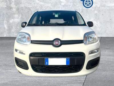 Fiat Panda Panda 1.0 FireFly S&S Hybrid Bianco usata Laterina
