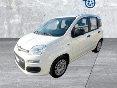 Fiat Panda Panda 1.0 FireFly S&S Hybrid Bianco usata Laterina