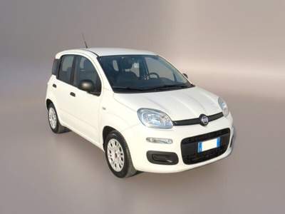 Fiat Panda Panda 1.0 FireFly S&S Hybrid Bianco usata Laterina