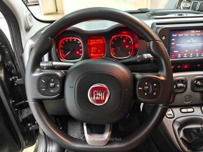 Fiat Panda Panda 0.9 TwinAir Turbo S&S 4x4 City Cross Grigio usata RENDE