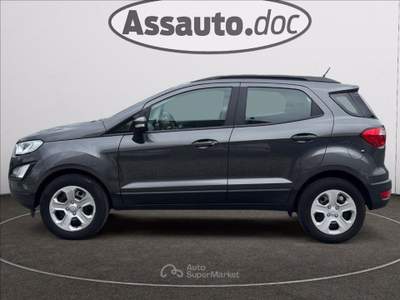 Ford EcoSport 1.0 ecoboost Business 100cv Grigio usata Gaglianico
