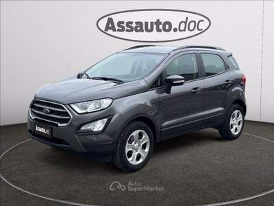 Ford EcoSport 1.0 ecoboost Business 100cv Grigio usata Gaglianico