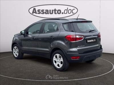 Ford EcoSport 1.0 ecoboost Business 100cv Grigio usata Gaglianico
