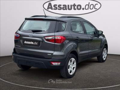 Ford EcoSport 1.0 ecoboost Business 100cv Grigio usata Gaglianico