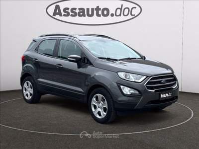 Ford EcoSport 1.0 ecoboost Business 100cv Grigio usata Gaglianico