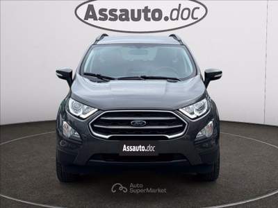 Ford EcoSport 1.0 ecoboost Business 100cv Grigio usata Gaglianico
