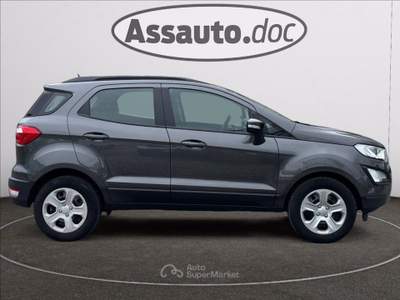 Ford EcoSport 1.0 ecoboost Business 100cv Grigio usata Gaglianico