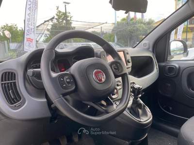 Fiat Panda Panda 1.0 firefly hybrid Cross s&amp;s 70cv 5p.ti Bianco usata Pinerolo