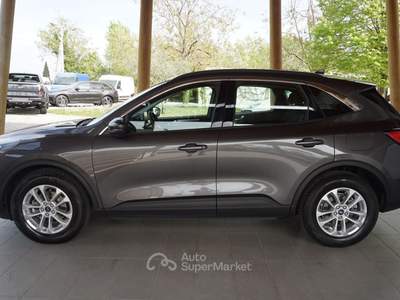 Ford Kuga 1.5 ecoblue Titanium Business 2wd 120cv auto Grigio usata Pordenone