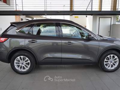 Ford Kuga 1.5 ecoblue Titanium Business 2wd 120cv auto Grigio usata Pordenone