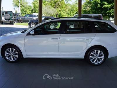 Skoda Octavia 1.6 tdi Style 115cv dsg Bianco usata Pordenone