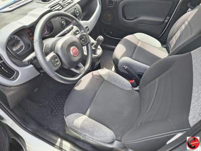 Fiat Panda 1.0 FireFly S&S Hybrid City Life usata Nocera Superiore