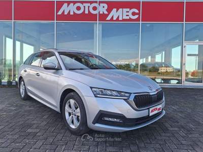 Skoda Octavia Wagon 1.5 g-tec Executive 130cv dsg Grigio usata Altivole