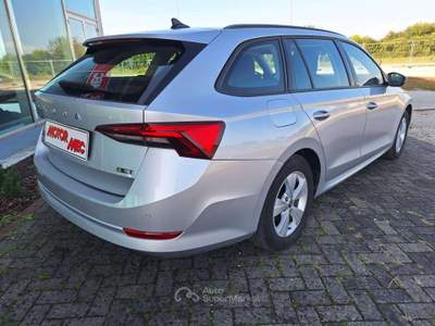 Skoda Octavia Wagon 1.5 g-tec Executive 130cv dsg Grigio usata Altivole