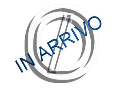 Fiat Doblò Doblò 1.6 MJT 105CV PC-TN Cargo SX 3 Posti Bianco usata Vignola