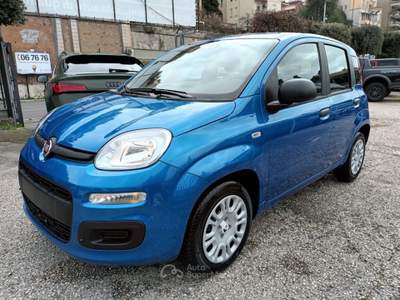 Fiat Panda 1000 HYBRID PANDINA POP 65CV ITALIA Blu/Azzurro usata Vetralla