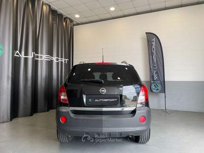Opel Antara 2.2 CDTI Cosmo 163cv 4x4 S&S Nero usata Leini