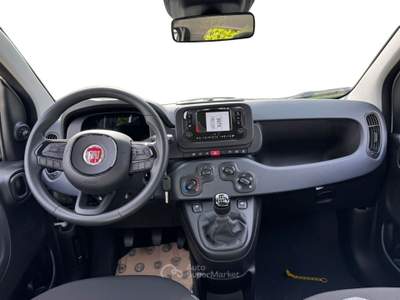 Fiat Pandina 1.0 65cv hybrid icon Bianco usata Fisciano