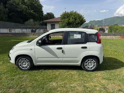 Fiat Pandina 1.0 65cv hybrid icon Bianco usata Fisciano