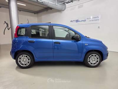 Fiat Panda 1.0 FireFly 70cv S&S Hybrid con Bonus EASY GO' Bianco usata Bruino