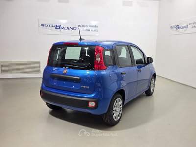 Fiat Panda 1.0 FireFly 70cv S&S Hybrid con Bonus EASY GO' Bianco usata Bruino