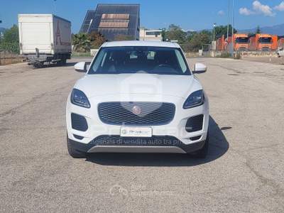 Jaguar E-Pace JAGUAR E-Pace 2.0D 150 CV AWD aut. S Bianco usata San Benedetto del Tronto