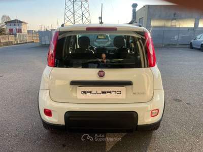 Fiat Panda 1.0 FireFly S&S Hybrid City Life Bianco usata Villanova d'Asti