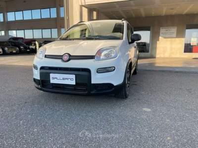 Fiat Panda 1.0 FireFly S&S Hybrid City Life Bianco usata Villanova d'Asti