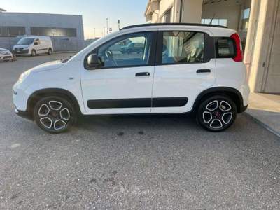 Fiat Panda 1.0 FireFly S&S Hybrid City Life Bianco usata Villanova d'Asti
