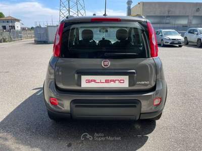 Fiat Panda 1.0 FireFly S&S Hybrid City Life Grigio usata Villanova d'Asti