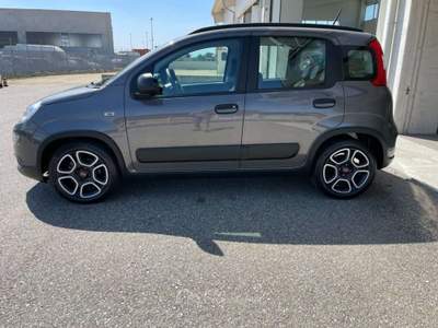 Fiat Panda 1.0 FireFly S&S Hybrid City Life Grigio usata Villanova d'Asti