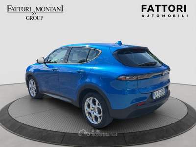 Alfa Romeo Tonale TCT6 Sprint Blu/Azzurro usata Roma
