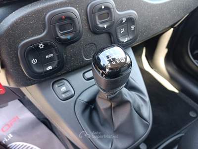 Fiat Panda FireFly S&S Hybrid City Cross Bianco usata Assisi