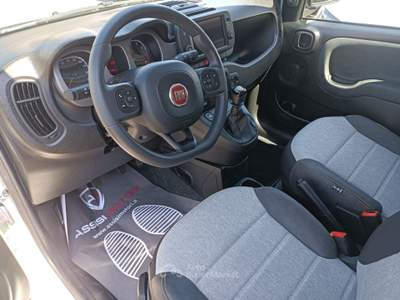 Fiat Panda FireFly S&S Hybrid City Cross Bianco usata Assisi