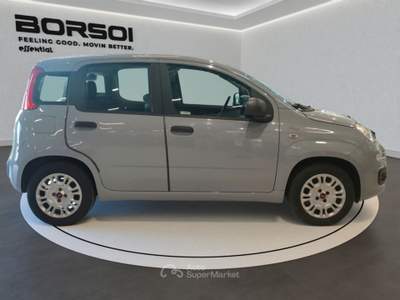 Fiat Panda  - panda 1.2 easypower easy Grigio usata Treviso