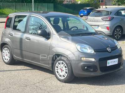 Fiat Panda FIAT Panda 1.0 FireFly S&S Hybrid Grigio usata Opera