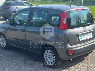 Fiat Panda FIAT Panda 1.0 FireFly S&S Hybrid Grigio usata Opera